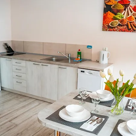 Apartamenty Sun & Snow Zielona Krynica Zdroj Exterior photo