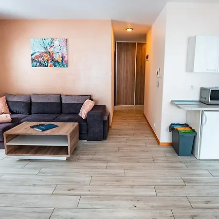 Apartamenty Sun & Snow Zielona Krynica Zdroj Exterior photo