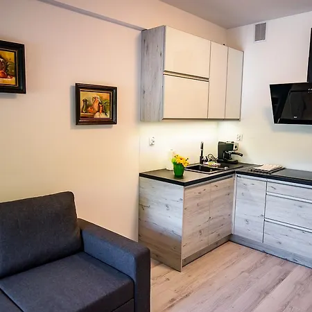 Apartamenty Sun & Snow Zielona Krynica Zdroj Exterior photo